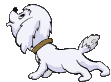 cane bianco ulula.gif